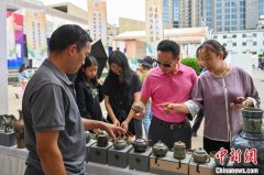 云南逾230场非遗活动贺新春