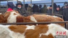 （新春走基层）春节后首个交易日 内蒙古赤峰“