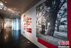 “为了趋向美玉的艺术：纪念王逊诞辰110周年史