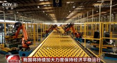 我国将采取有力举措加快推动各项政策落地见效 高质量发展“枝繁叶茂”